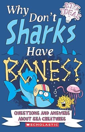 Why Don’t Sharks Have Bones?