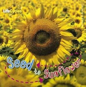 Lifecycles: Seed to Sunflower