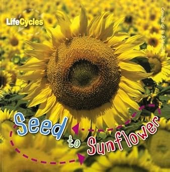 Lifecycles: Seed to Sunflower